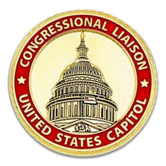 Blanko-Challenge-Münze aus metallbeschichtetem Messing für die Faserlasergravur